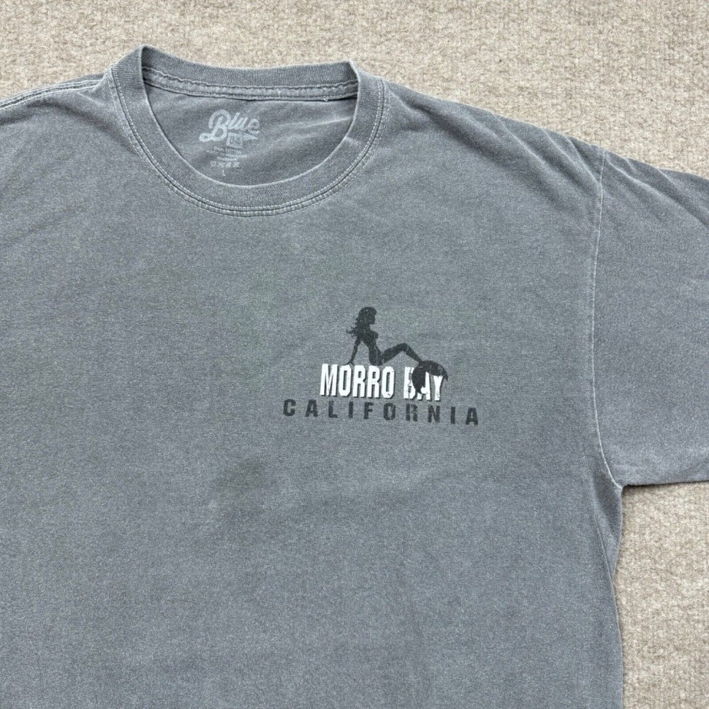 Blue 84 T Shirt Mens Size L Gray Morro Bay Logo Casual Short Sleeve Crew… - Picture 4 of 8